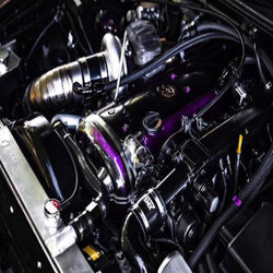 Engine-Clear-Timing-Cover Tokyo Tom's